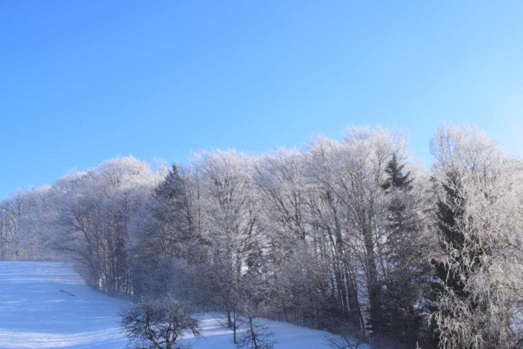 Pension Irlingerhof มอนด์ซี ภายนอก รูปภาพ