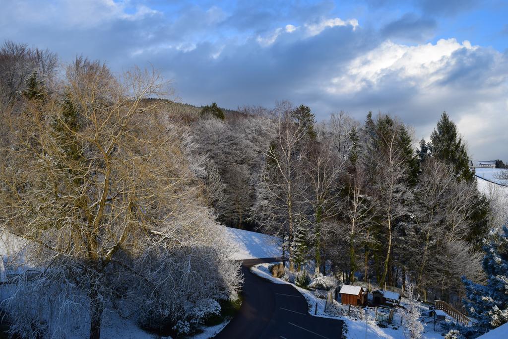 Pension Irlingerhof มอนด์ซี ภายนอก รูปภาพ